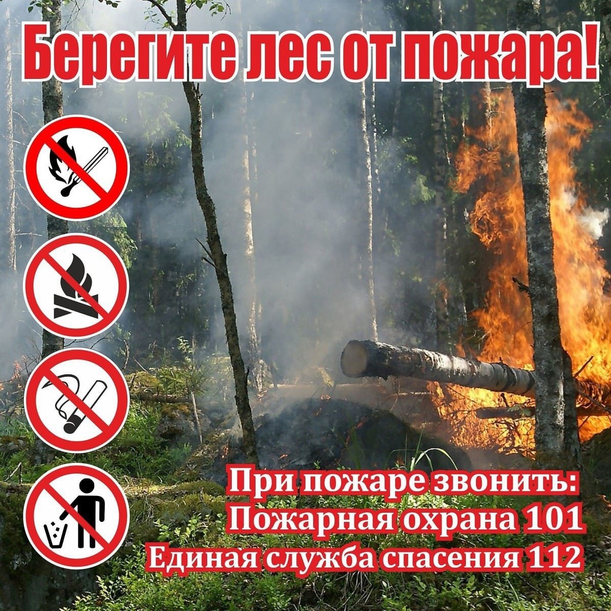 Профилактика лесных пожаров..